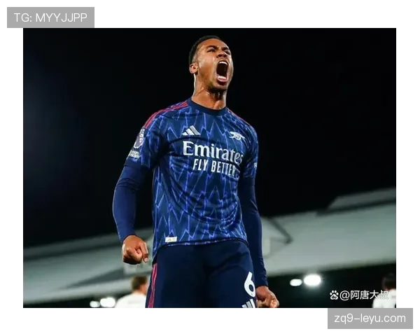 富勒姆构建高效逼抢体系，剑指英超新赛季突破