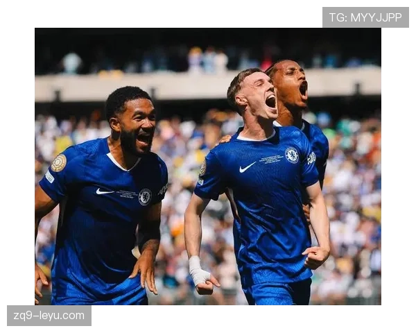 帕尔默距离顶级球星的差距解析：数据、战术角色与大赛表现